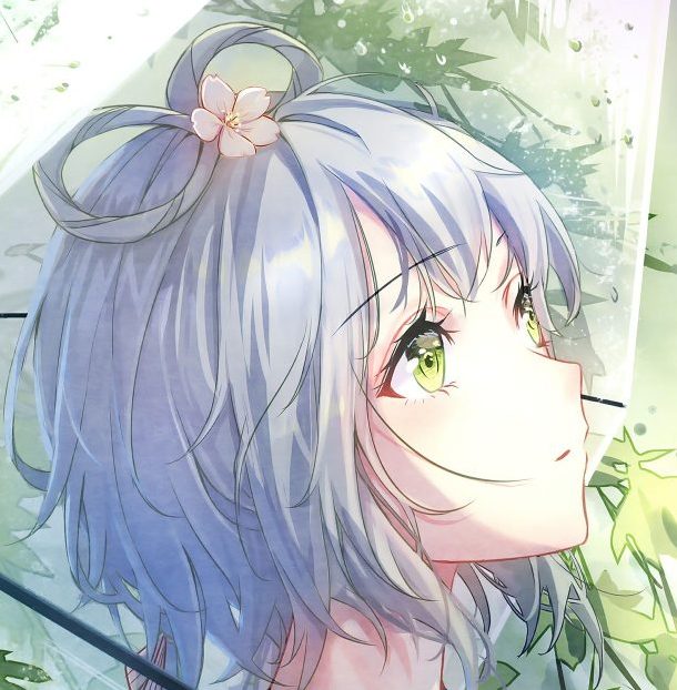 洛雨的头像